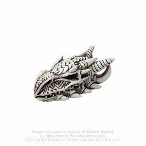 Alchemy Gothic Dragon Skull - Mini koriste esine