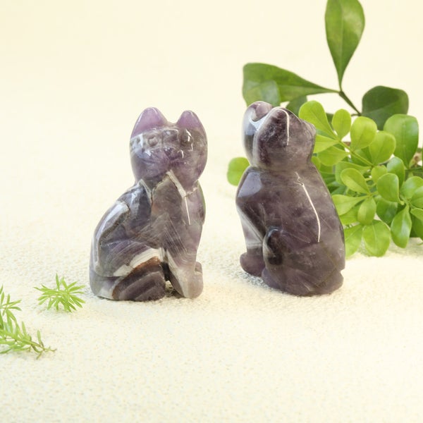 Kissa ametisti 5 x 3 cm