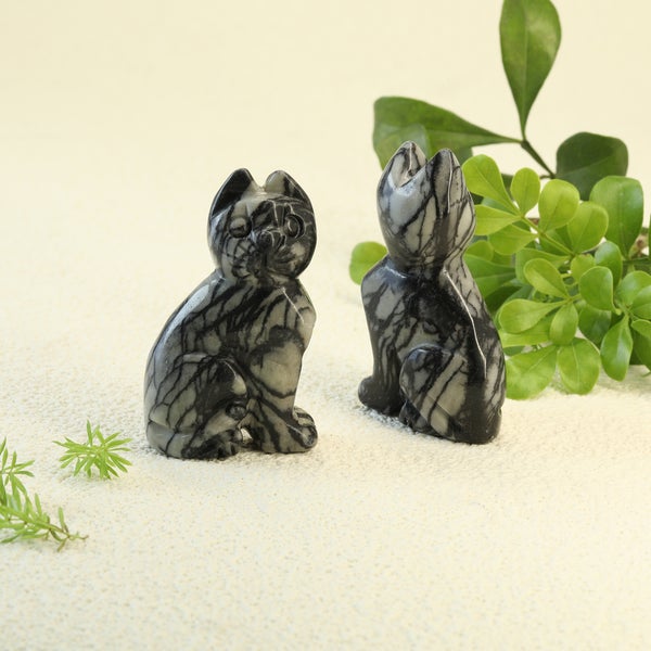 Kissa Spider Web jaspis 5 x 3 cm