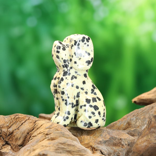 Dalmatianjaspis koira 5 cm