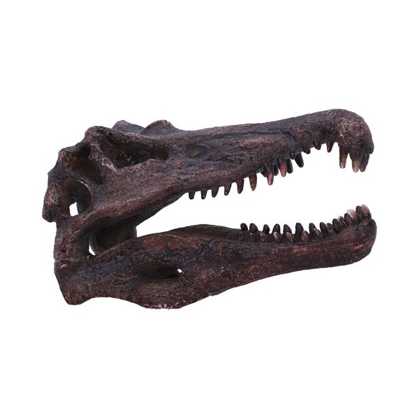 Spinosaurus-kalloreplika &ndash; esihistoriallista voimaa sisustukseen.