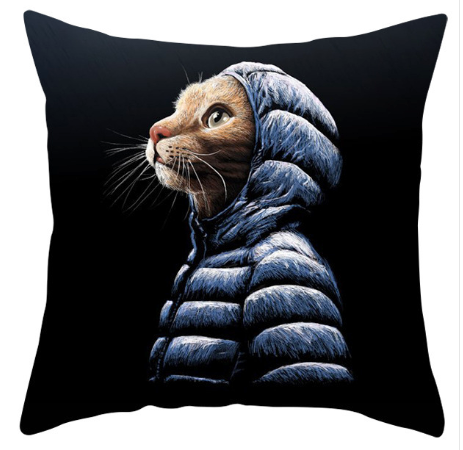 Koristetyyny nuoren huoneeseen